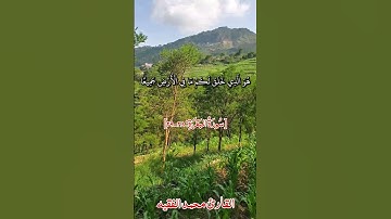 سورة البقره القارئ محمد الفقيه كَيْفَ تَكْفُرُونَ بِاللَّهِ وَكُنْتُمْ أَمْوَاتًافَأَحْيَاكُمْ