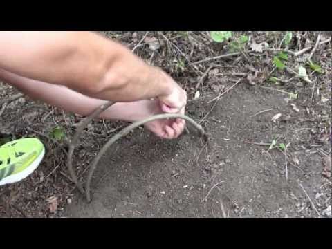 How to make the spring snare trap