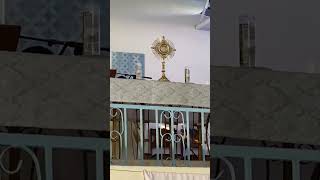adoration du st sacrement à l'église Notre-Dame d' immaculée conception à la grotte turgeau