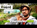 Semis de courge courgette epinard  plantation des choux   vlog potager 4  potager jardin