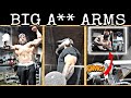 Want Big Arms!? Your Welcome