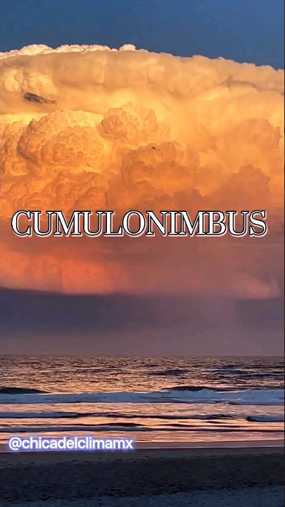 #cumulonimbus #cumulus #meteorologia #tormenta #storm #clouds #nubes #cloud #shorts #sky #yt #cielo