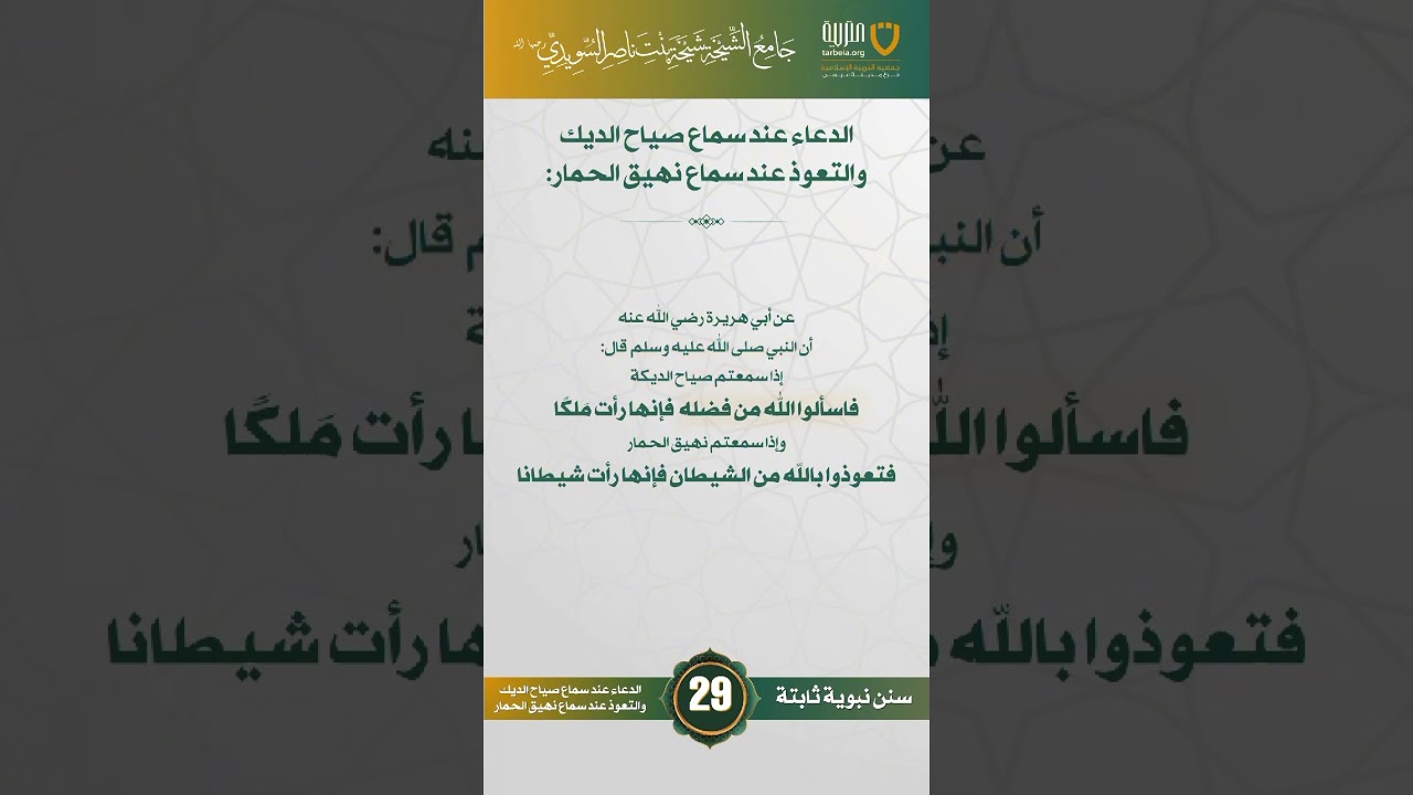 سنن نبوية ثابتة | الحلقة (29)