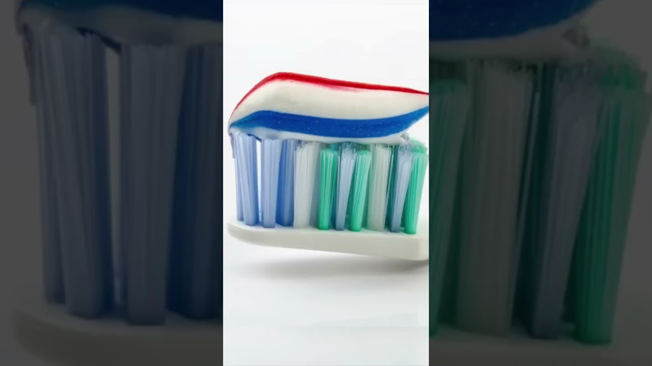 The Fact Crusader: Championing the Quest for Knowledge!