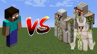 Herobrine vs Iron Golems in Minecraft