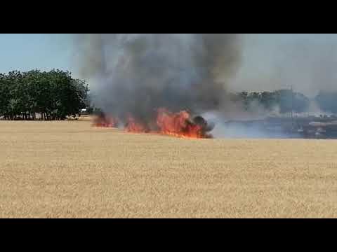 A fuoco un campo di grano - FANO TV