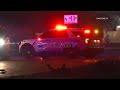 Driver Killed After Tesla Rolls Into Tree In Spring