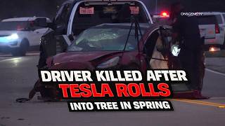 Driver Killed After Tesla Rolls Into Tree In Spring