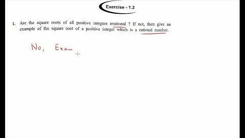 Are the square roots of all positive integers irrational? If not, then give an example of the square