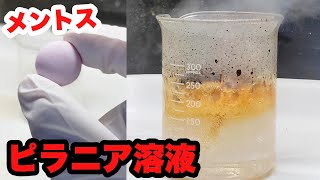 【全てを食い尽くす液体】ピラニア溶液にメントス入れたらヤバすぎた #Shorts