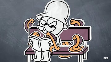 What Cobras Can Teach Us About Incentives