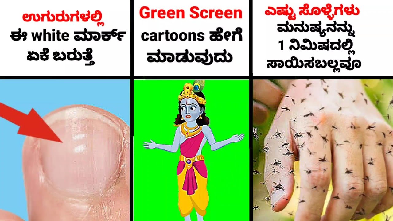 Viral Facts in kannada ಕನ್ನಡ Kannada facts shale history ಚರಿತ್ರೆ