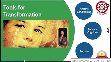 What are the Arrows on my Human Design Chart? An Introduction to Human Design System Variables