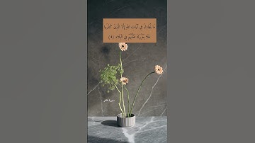 آية ٤ من سورة غافر