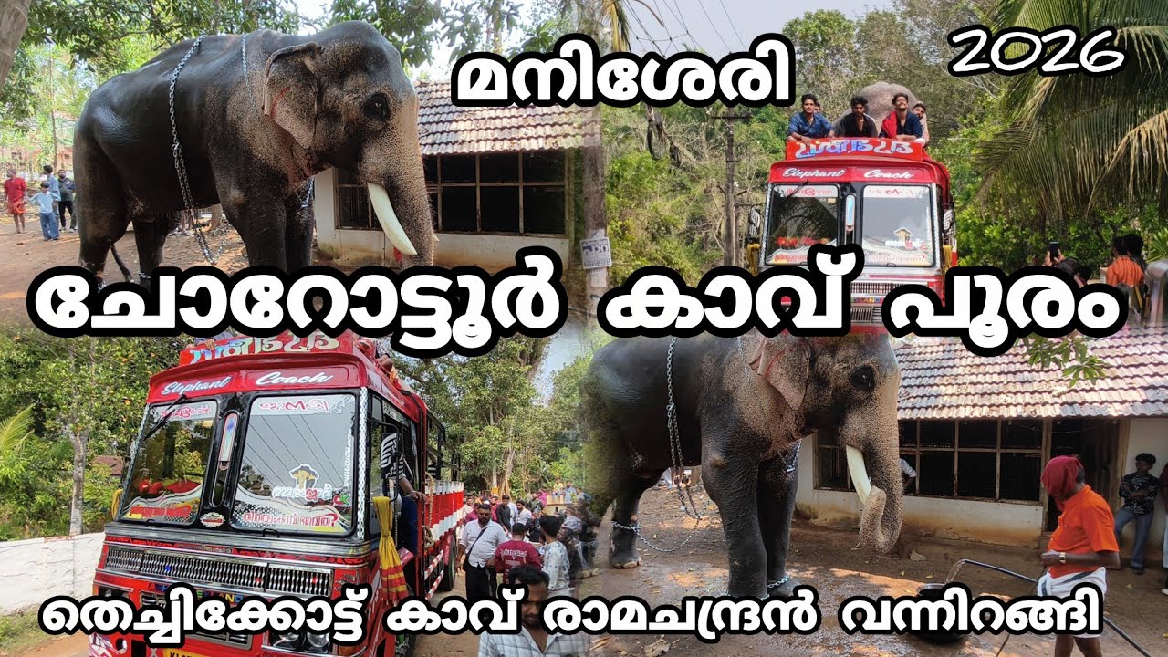 മനിശ്ശേരി ചോറോട്ടൂർ ഭഗവതി ക്ഷേത്രത്തിലെ പൂരം തെച്ചിക്കോട്ടുകാവ് രാമചന്ദ്രൻ വന്നിറങ്ങി 2026