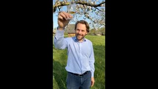 #1 CIDER APPLES FROM NORMANDY