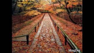 John Dreamer -Dark Souls 2   [ Double!!!!]