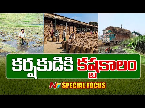 అయితే అతివృష్టి.. లేదా అనావృష్టి..! కర్షకుడికి ఎందుకు ఇన్ని కష్టాలు..? | Focsu | Nizamabad | NTV - NTVTELUGU