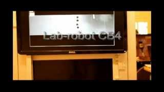 Microptik Lab-robot CB4