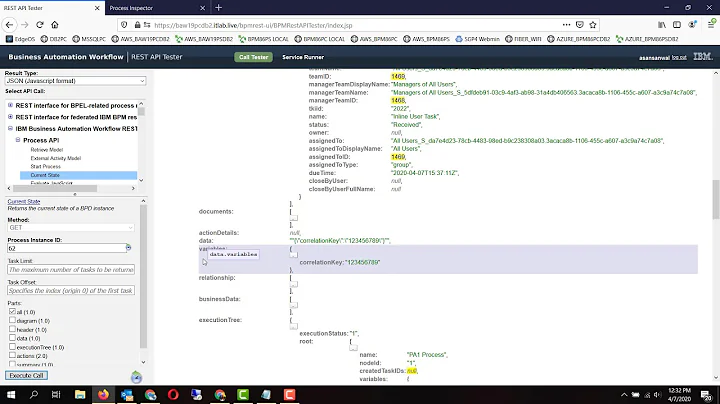 IBM BPM/BAW - Update Runtime Instance Data