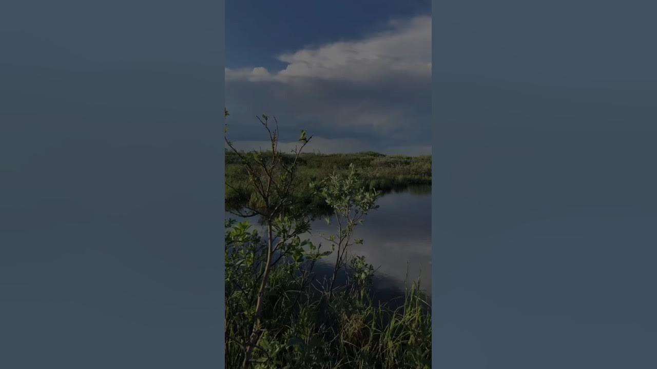 Воркутинская тундра Бухаров