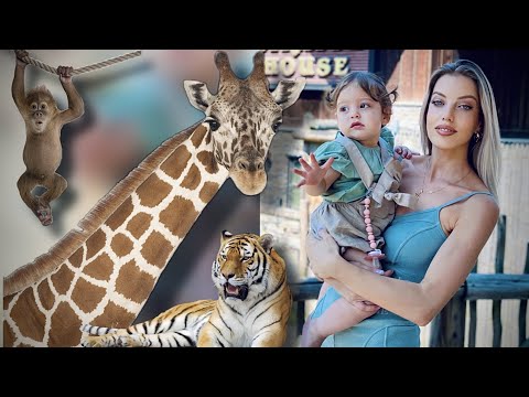 ანისია პირველად ზოოპარკში | First time at the ZOO  | vlog