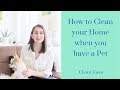 How to clean your home when you have a Pet! | Clean Casa