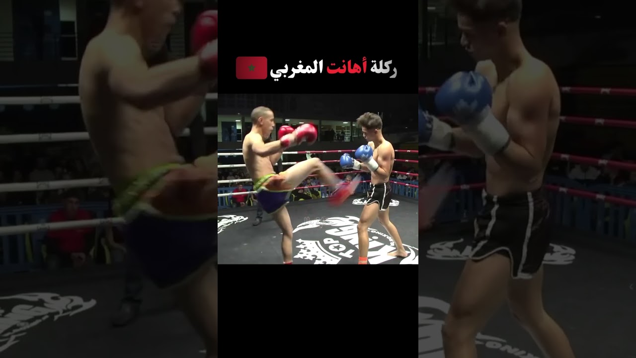 ركلة أهانت المغربي  #kickboxing #morocco