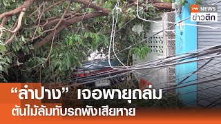 “ลำปาง” เจอพายุถล่ม ต้นไม้ล้มทับรถพังเสียหาย | TNN ข่าวดึก | 8 พ.ค. 67