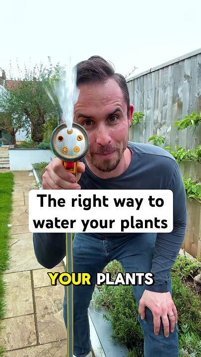 The correct way to water plants #garden #gardening