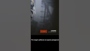 Спавнимся #shadowrust #rust #server #мем #fun #memes #raid #farm