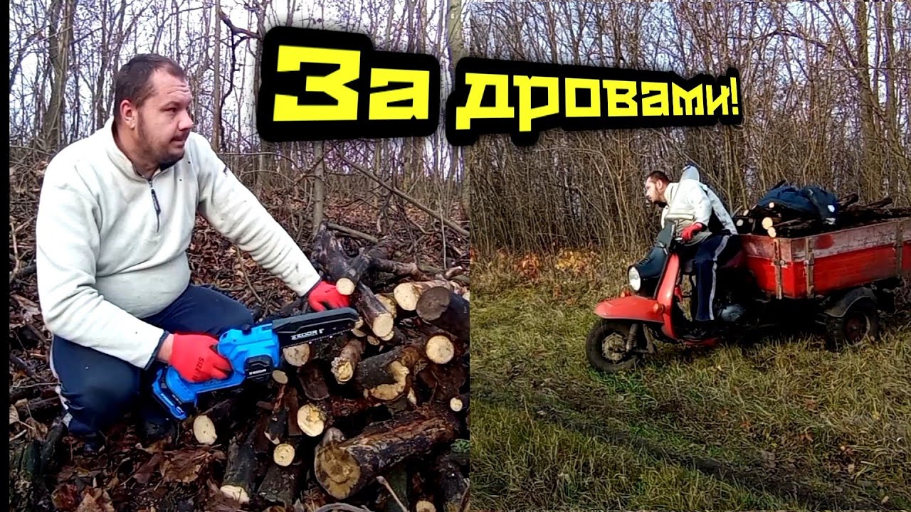 ЗА  БЕСПЛАТНЫМИ ДРОВАМИ!