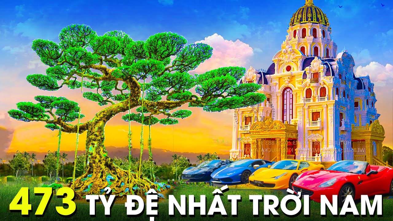 6 Tuyệt Tác Cây Cảnh Có Giá Lên Đến Hàng Trăm Tỷ Ở Việt Nam, Khiến Giới Thượng Lưu Toàn Cầu Sửng Sốt