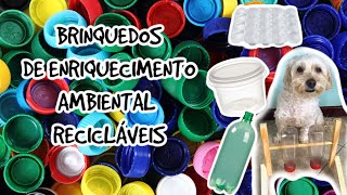 Brinquedos recicláveis de Enriquecimento Ambiental para o seu cão