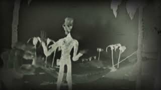 Prometheus And Bob Tape Hammock