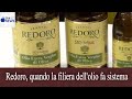 L'amministratore delegato Daniele Salvagno presenta ai microfoni di EFA News i risultati e le prospettive dell'azienda presente a Sol&Agrifood di Vinitaly 2018 con un importante stand. Redoro, quando la filiera dell'olio fa sistema