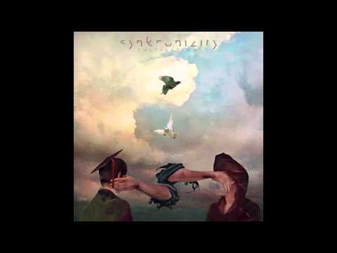 Synkronizity — Synkronizity Moment of Confusion