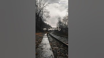 سورة الحجر | محمد هشام