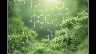 IB Chemistry - Synthetic routes explained and question solved (Topic 10, Organic chemistry)