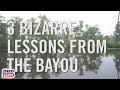 3 Bizarre Lessons From The Bayou 3 Bizarre Lessons From The Bayou