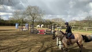 Ad ref 275264   Video 2