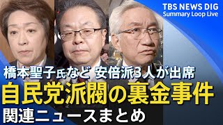 【裏金事件まとめ】参議院・政倫審 橋本聖子氏など安倍派3人出席へ　真相解明に向け“新証言”出るか（3月14日配信） | TBS NEWS DIG