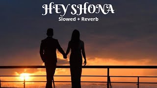 Download Lagu Hey Shona | Slowed + Reverb Version | Ta Ra Rum Pum | Saif Ali Khan, Rani Mukerji MP3