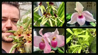 Lyman Estate Greenhouse Tour!