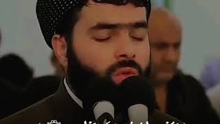 Amazing recitation by Peshawa Qadr Al-Kurdi