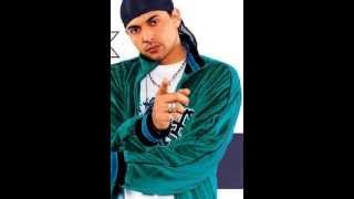 Watch Sean Paul Do Ti Ting video