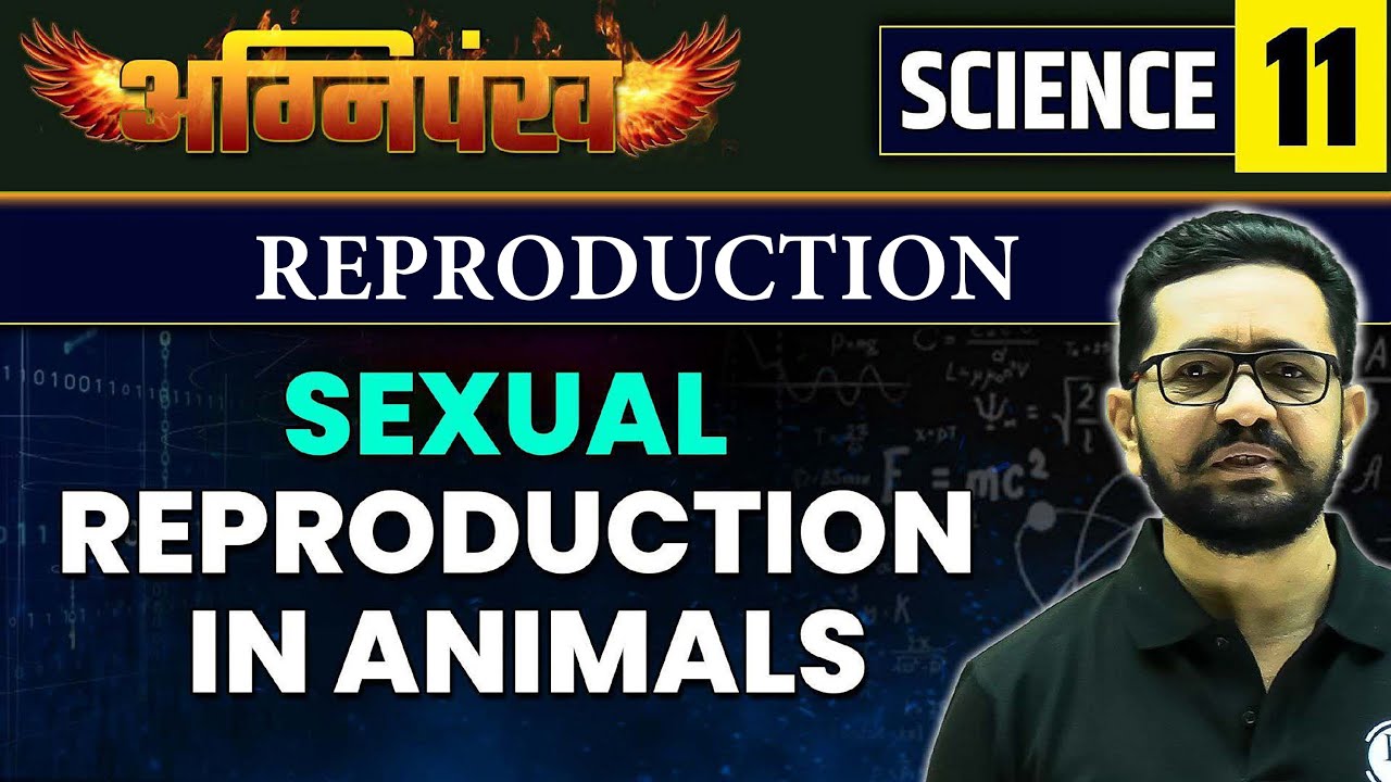 SCIENCE 11 : REPRODUCTION : SEXUAL REPRODUCTION IN ANIMALS | MPSC Exam 2023 | MPSC Wallah