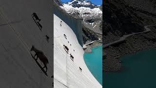 Goats on a Vertical Dam #goat #ibex #mountains #unreal #wildlife #shorts Wealth