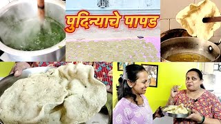 पुदिन्याचे पापड | Pudina Papad | VLOG