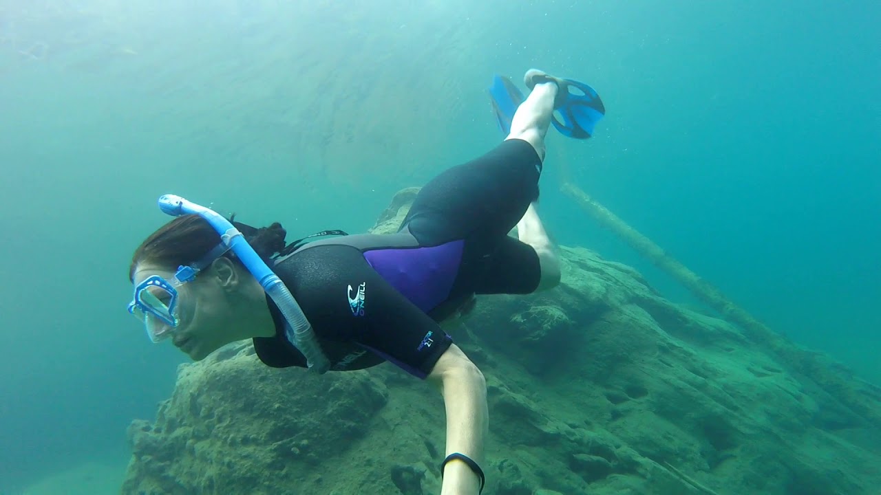 Lake Crescent, WA Snorkel with Sparky the dog. YouTube
